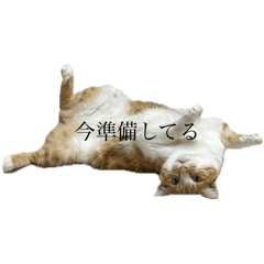 hamuhamu_20251023012153