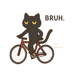Fixie cat