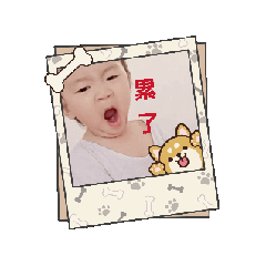立糖寶
