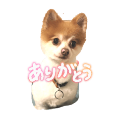 YWR_20251023121206