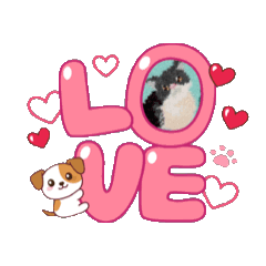 Flower_20251023123245