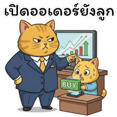 Big Boss Cat & His Disciples