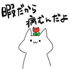 ノンデリ猫