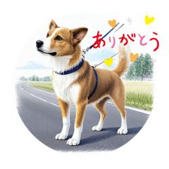 ワンのあいさつ状Part6