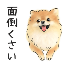 patezou_20251023040105