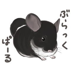 Black Pearl Chinchilla stickers!