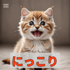 Fluffy Munchkin Life