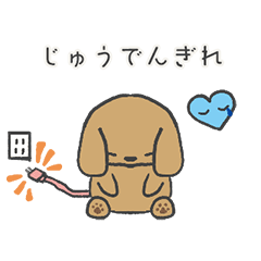 ひろうこんぱいっぬ