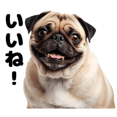 Easy to use every day! Pug stickers
