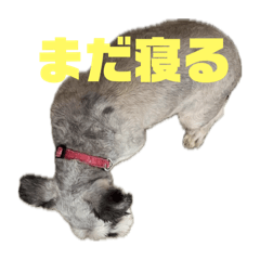 hiroki_20251023151804