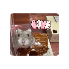 yuina_20251022151837