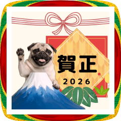 動く！パグ【お正月2026】