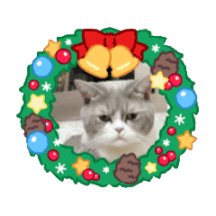 島灰灰灰的holidays