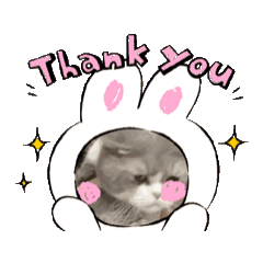 島灰灰咪某咪某