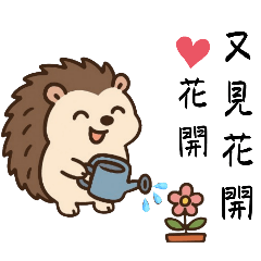 刺蝟寶寶與牛仔女孩的療癒事務所