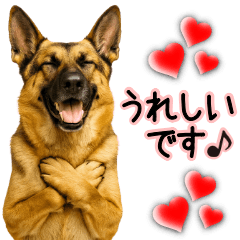 Shepherd Thank You Stickers