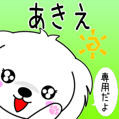 ♦️あきえ専用♦️使える名前スタンプ