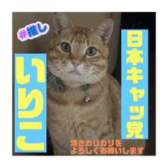 Irikorikoriko