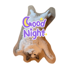 yuina_20251023170429