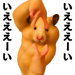 Dancing! Side-to-side swaying Kinkuma