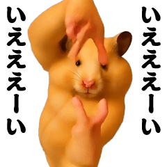 Dancing! Side-to-side swaying Kinkuma