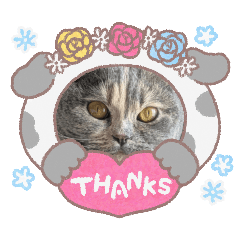 matsu_20251023171305