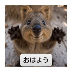 Tamago_20251023164350