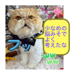 MSSAN_20251023172157