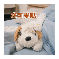 DI GOU LIANG日常