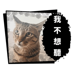 豆花妹妹的逆襲