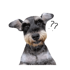 sumire_20251024081904