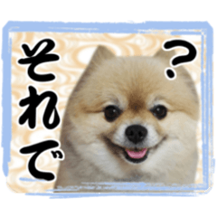 Pon & Ron daily sticker