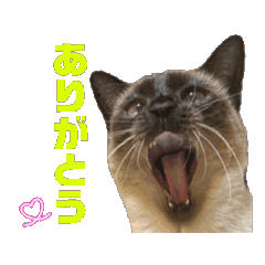 wakana_20251024004008