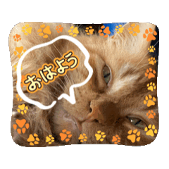 akaMaru_20251024012328