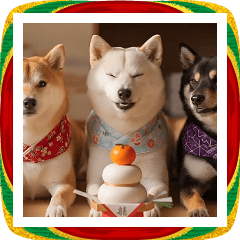 飛び出す★あけおめ柴犬、お正月しばっこ