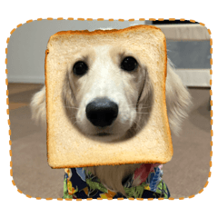 Happy_202510232342442