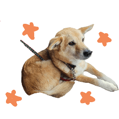 lovely family part one