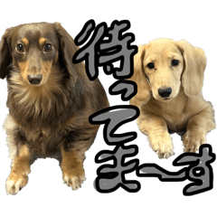 shiho_20251023231441