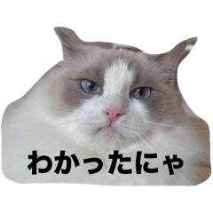 chanri_20251024005535