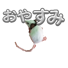 yuchi_20251023193959