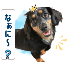 Makaro Daily Life Sticker