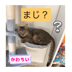 Suzu ran_20251024071605