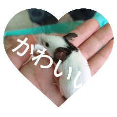 yuchi_20251023195630