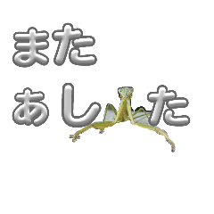 yuchi_20251023200433