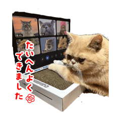 nanana_20251023201335