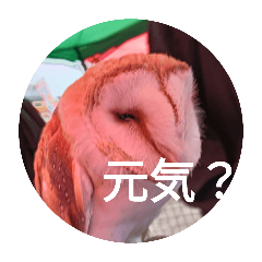 yuchi_20251023201731