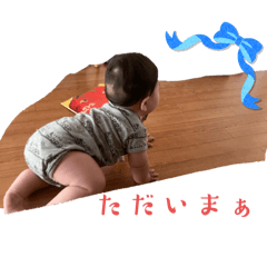 sakura_20251024012953