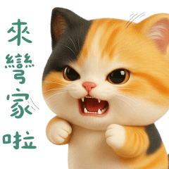 小花貓來嘍來嘍！