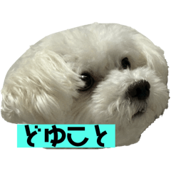 Julia_20251023202355