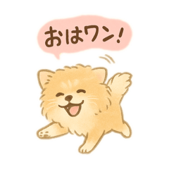 sayuri_20251023202458